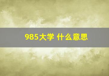 985大学 什么意思